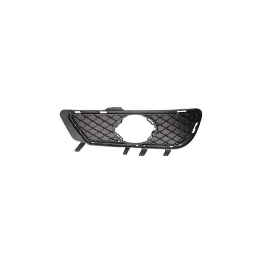 Blic 6502-07-3529918P Bumper Grill Suitable For Mercedes-Benz E-Class