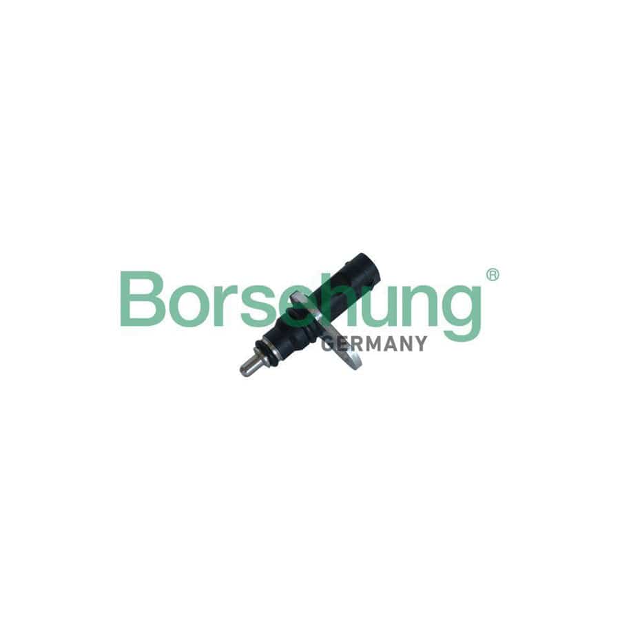Borsehung B11863 Sensor, Coolant Temperature