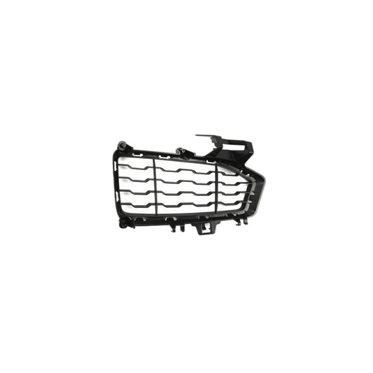 Genuine BMW 51118056493 F36 F32 Grill, Bumper, Front, Left RACE (Inc. 435i, 440i & 428i)
