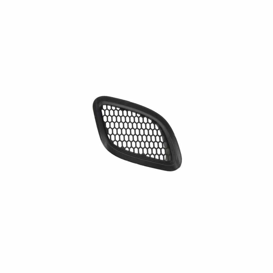 Blic 6502-07-2013911Aq Bumper Grill