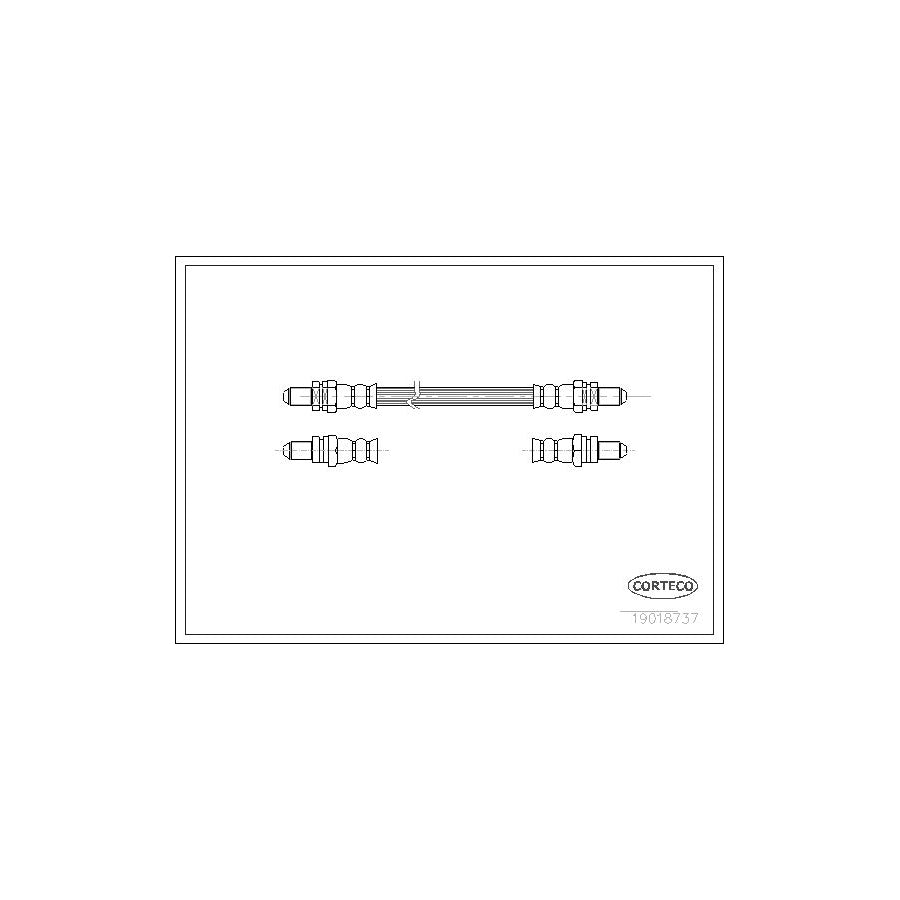Corteco 19018737 Brake Hose For Ford Fiesta | ML Performance UK