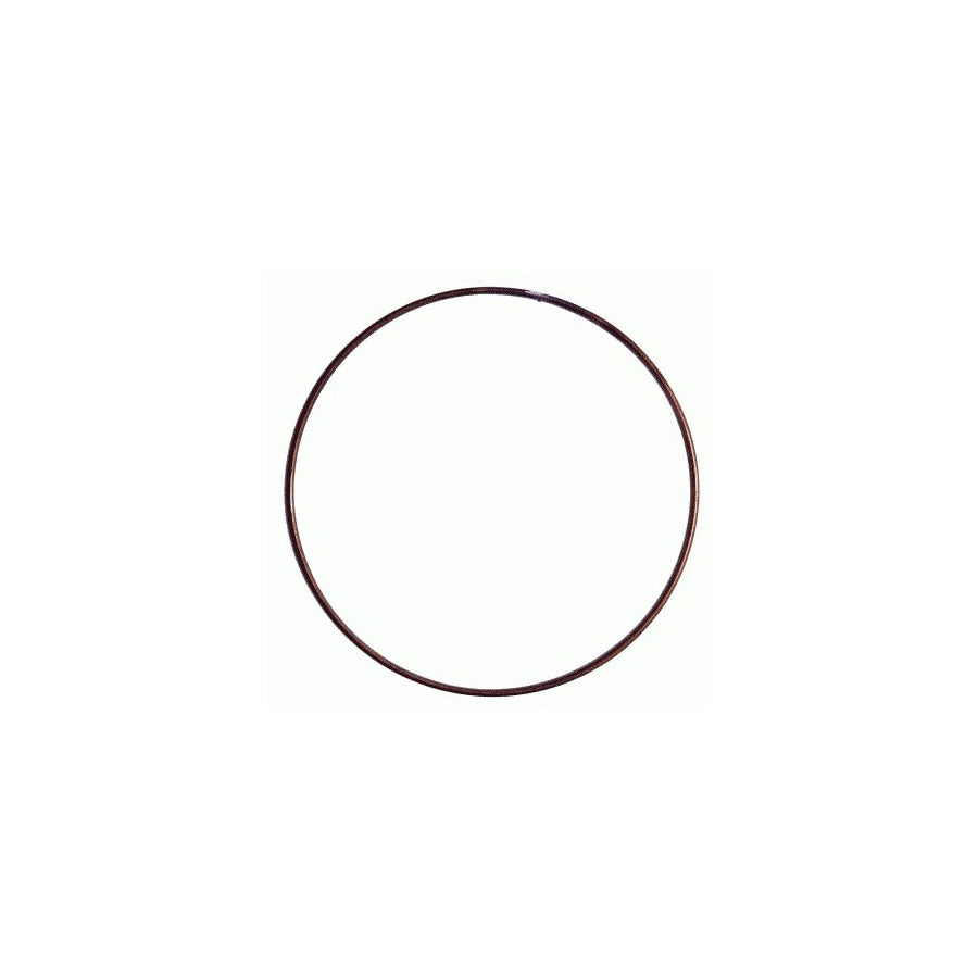 Sachs 3018 091 000 Clamping Ring, Release Plate