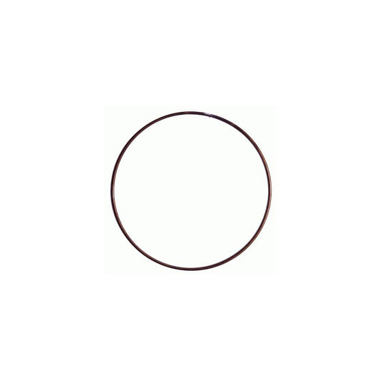 Sachs 3018 091 000 Clamping Ring, Release Plate