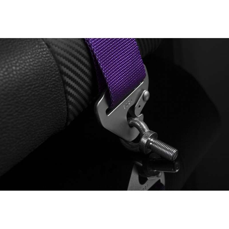 BRAUM 5 Pt – Sfi 16.1 Racing Harness (Purple)