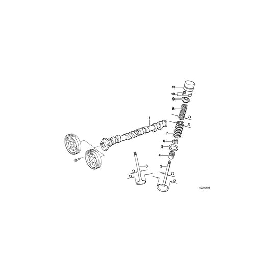 Genuine BMW 11341727769 E30 E36 Valve Spring D=20,9mm (Inc. 318i & 318is) | ML Performance UK Car Parts