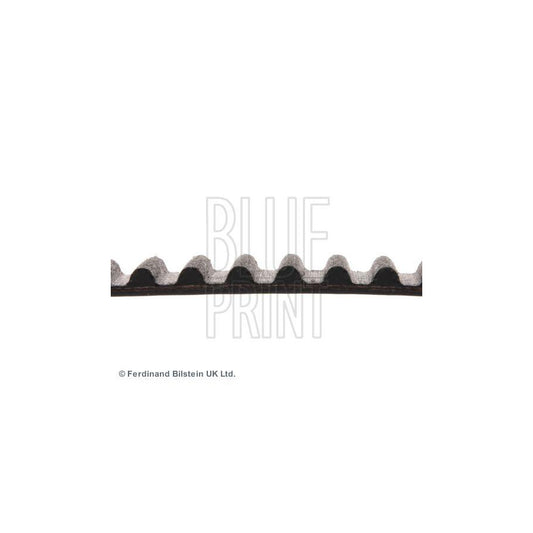 Blue Print ADM57526 Timing Belt