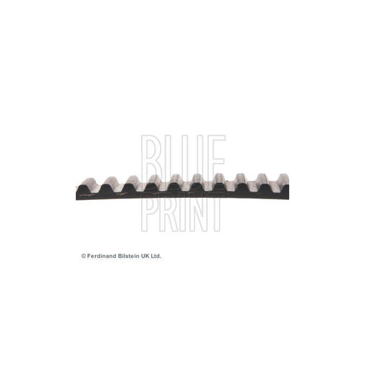 Blue Print ADM57525 Timing Belt