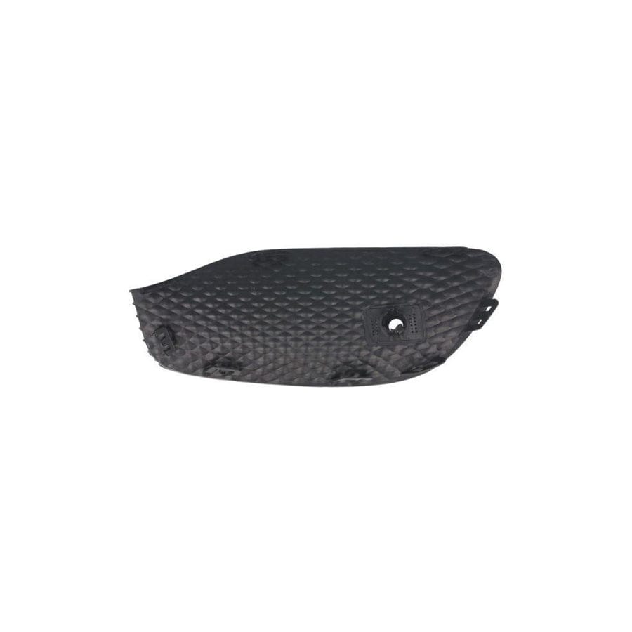 Blic 6502-07-3531993Pp Bumper Grill Suitable For Mercedes-Benz E-Class