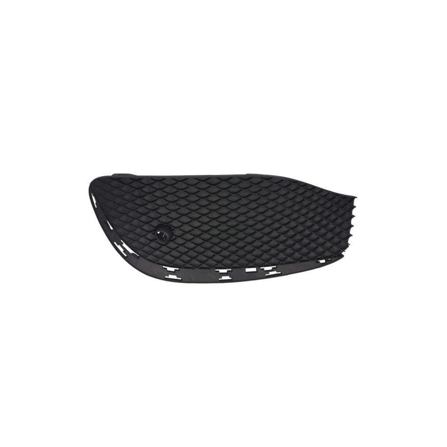 Blic 6502-07-3531993Lp Bumper Grill Suitable For Mercedes-Benz E-Class
