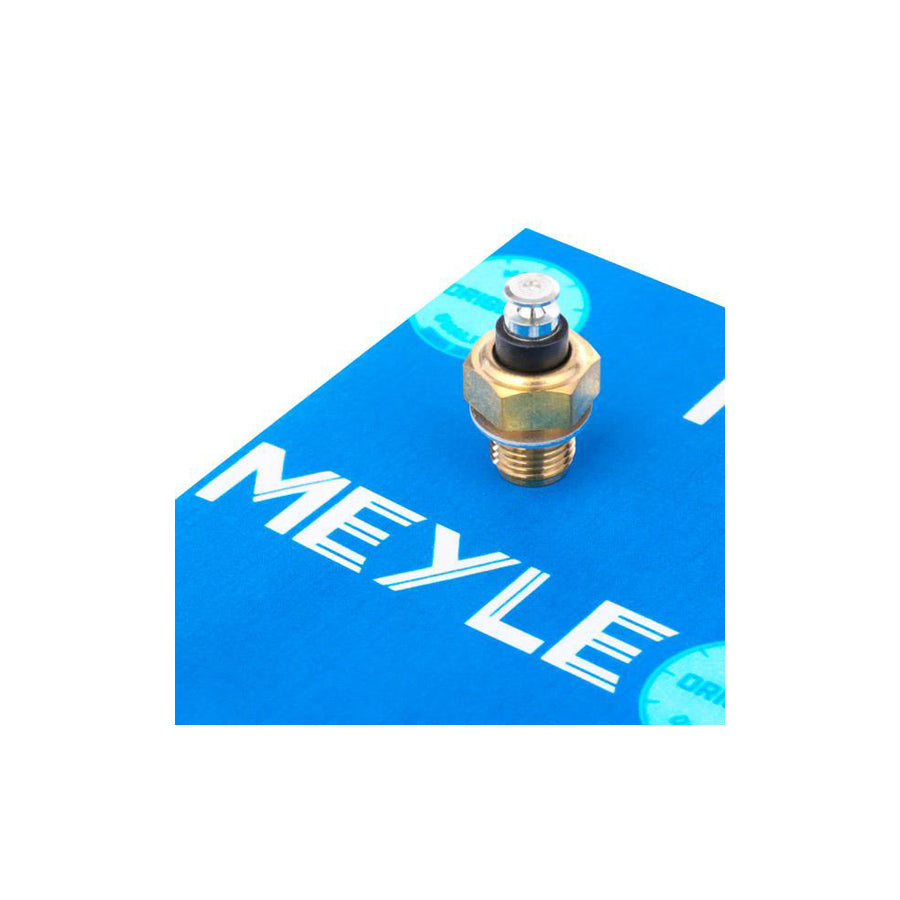 Meyle 100 919 0015 Sensor, Coolant Temperature