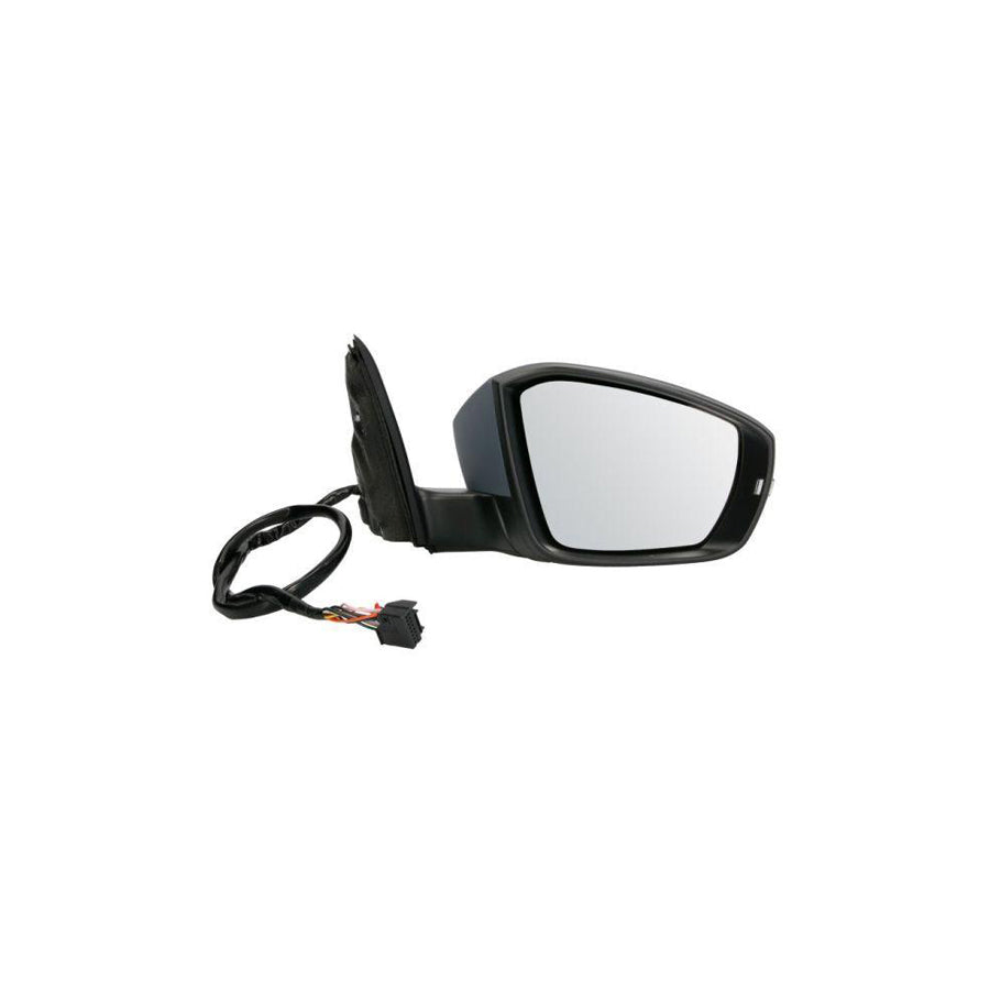 Blic 5402-43-2002356P Wing Mirror