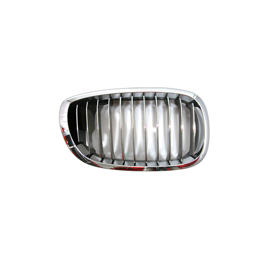 Genuine BMW 51137064318 E46 Grille Right CHROM (Inc. 320Cd, 325Ci & 320Ci)