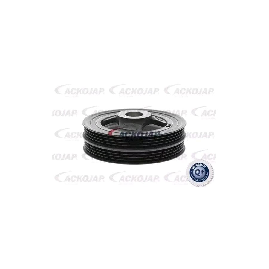 Ackoja A52-0602 Crankshaft Pulley | ML Performance UK