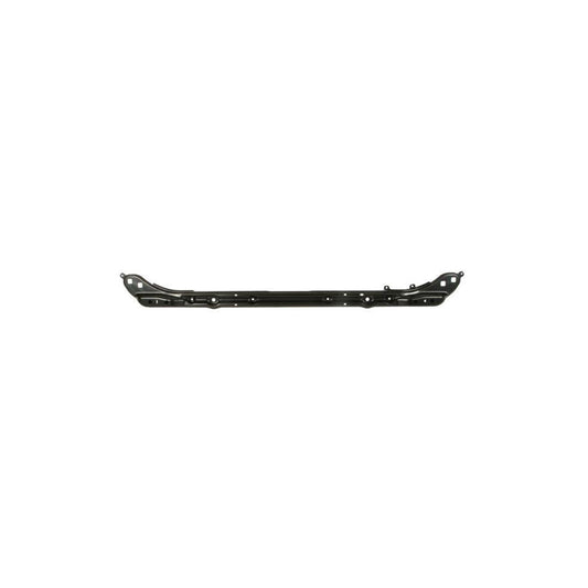 Blic 6502-08-0064202P Front Cowling For BMW 3 Series