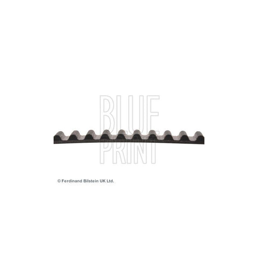 Blue Print ADK87503 Timing Belt For Suzuki Vitara