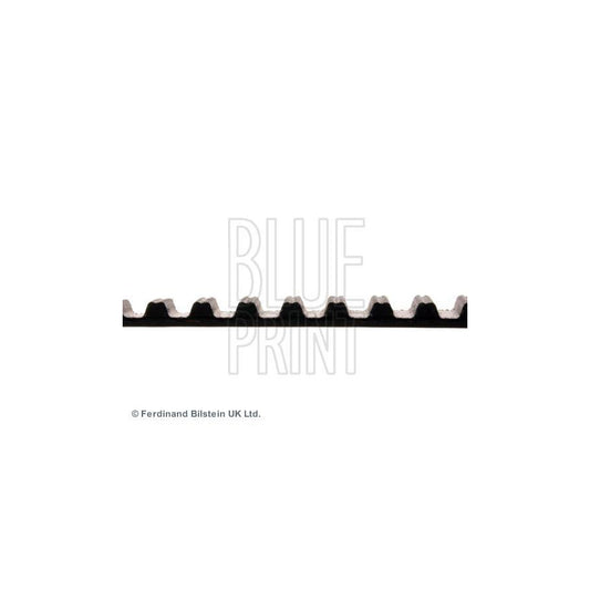 Blue Print ADM57529 Timing Belt