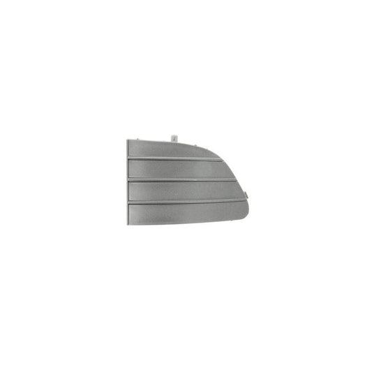 Blic 6502-07-2019916Q Bumper Grill