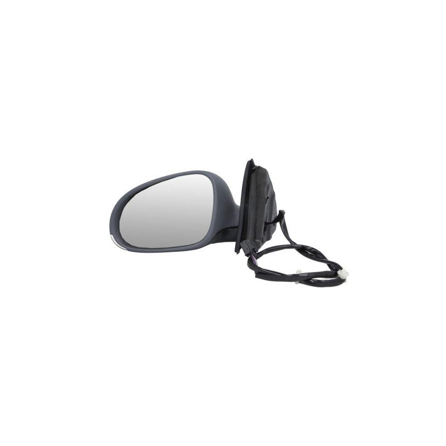Blic 5402-04-1131121P Wing Mirror
