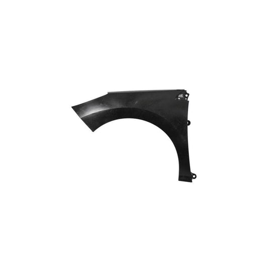 Blic 6504-04-5519311Q Wing Fender For Peugeot 308