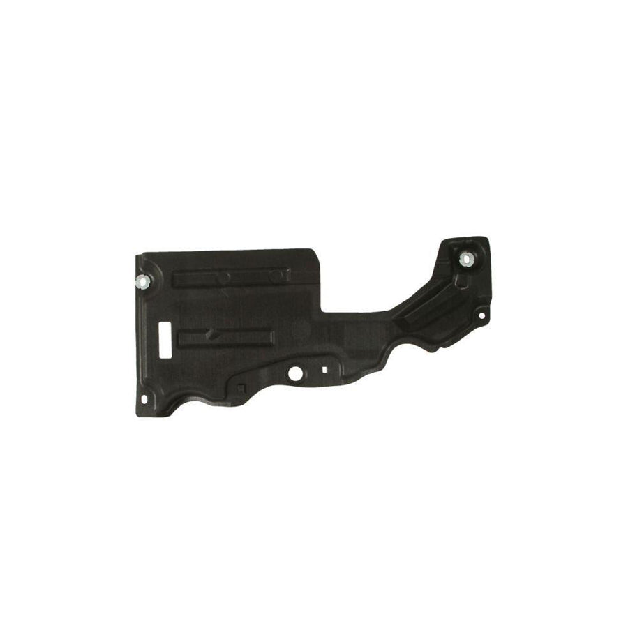 Blic 6601-02-2598866P Skid Plate