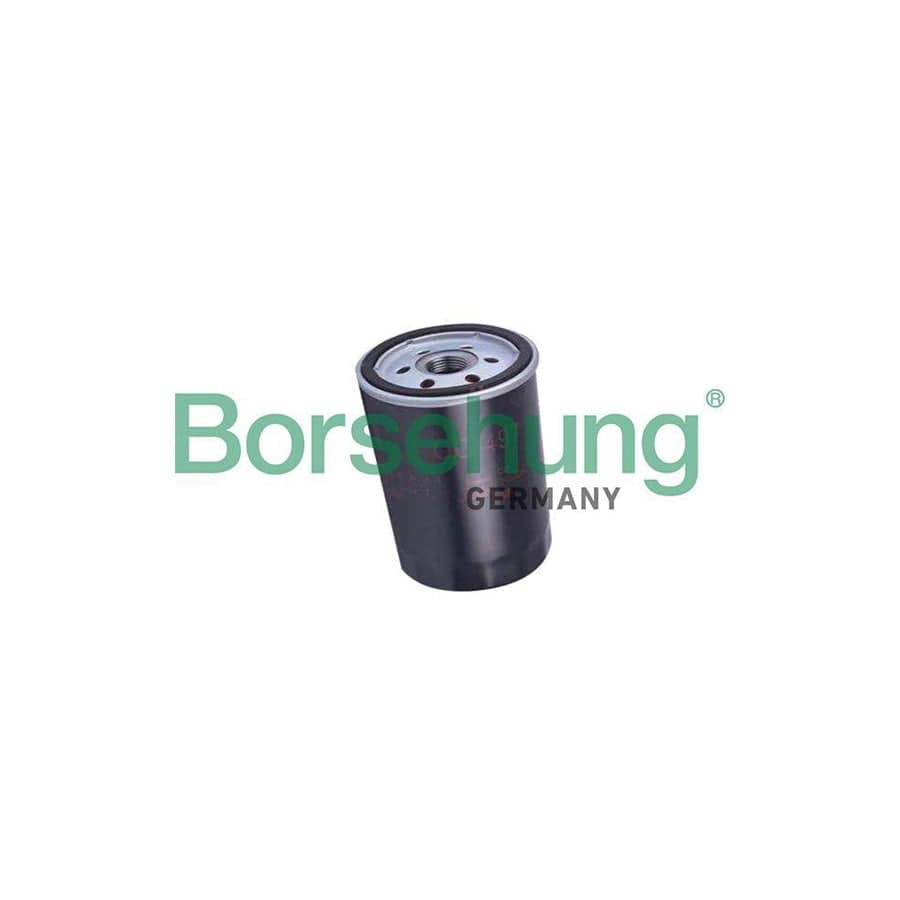 Borsehung B19032 Oil Filter