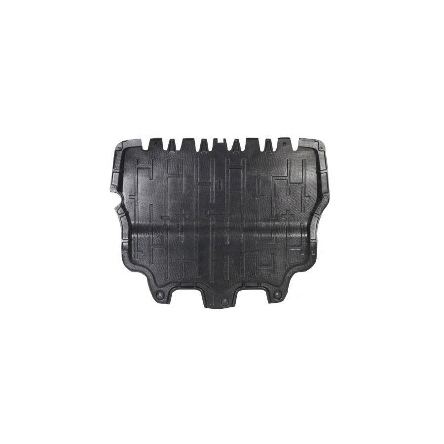 Blic 6601-02-2591860P Engine Cover