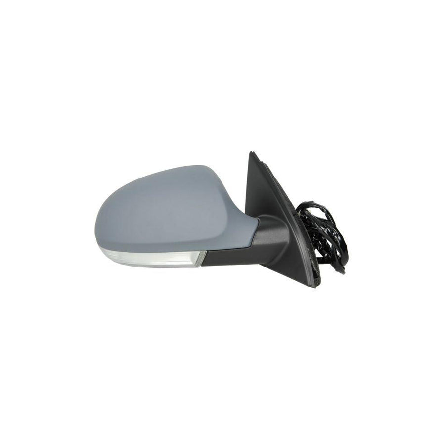 Blic 5402-04-1132118 Wing Mirror For VW Passat