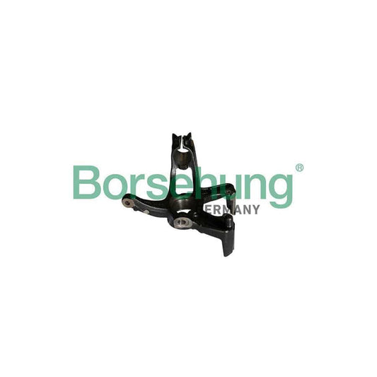 Borsehung B12113 Steering Knuckle
