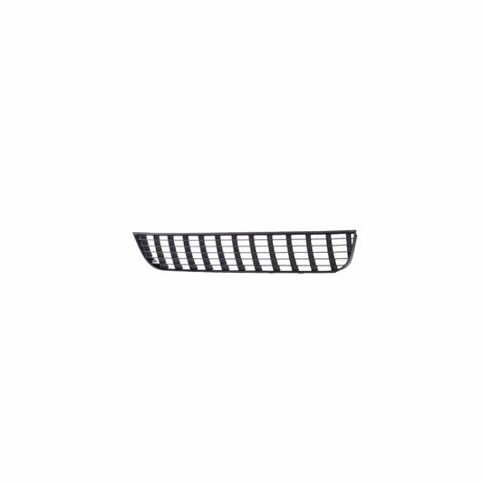 Blic 6502-07-2024991Q Bumper Grill