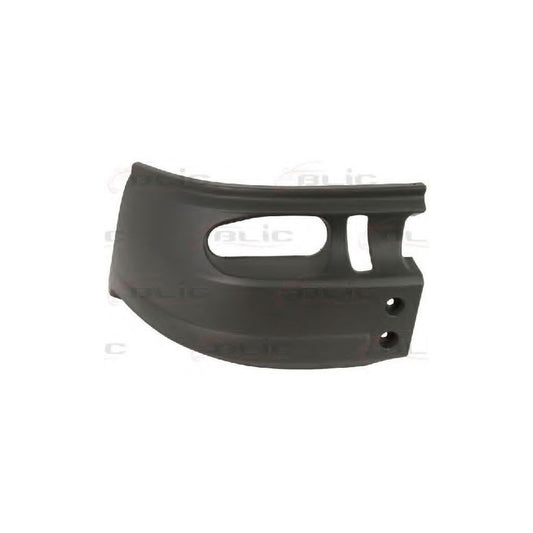 Blic 5507-00-2509913P Bumper For Ford Transit
