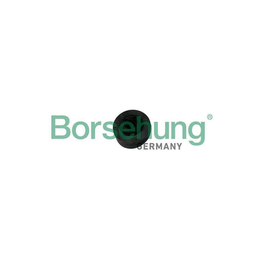 Borsehung B19068 Spring Cap