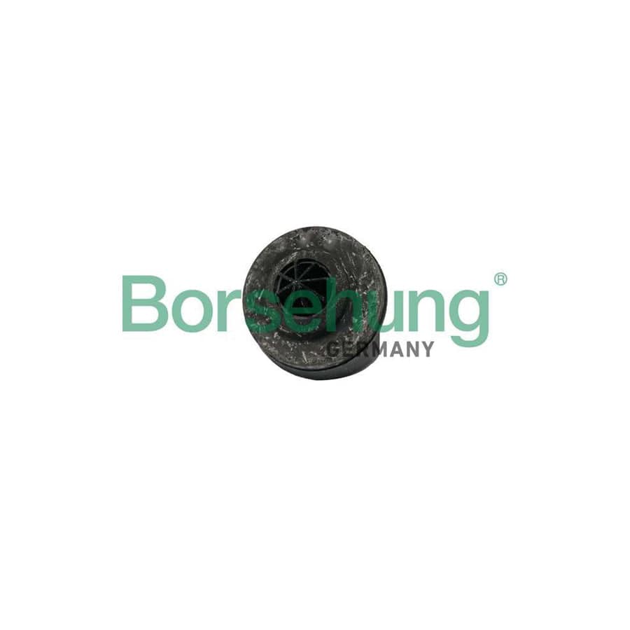 Borsehung B19066 Spring Cap