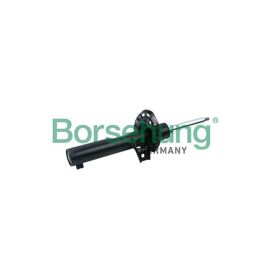 Borsehung B12136 Shock Absorber For Skoda Fabia