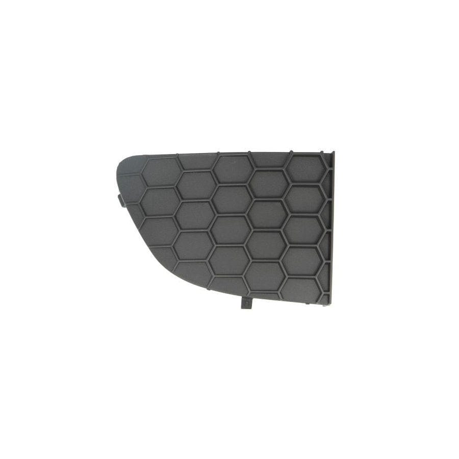 Blic 6502-07-2028994P Bumper Grill