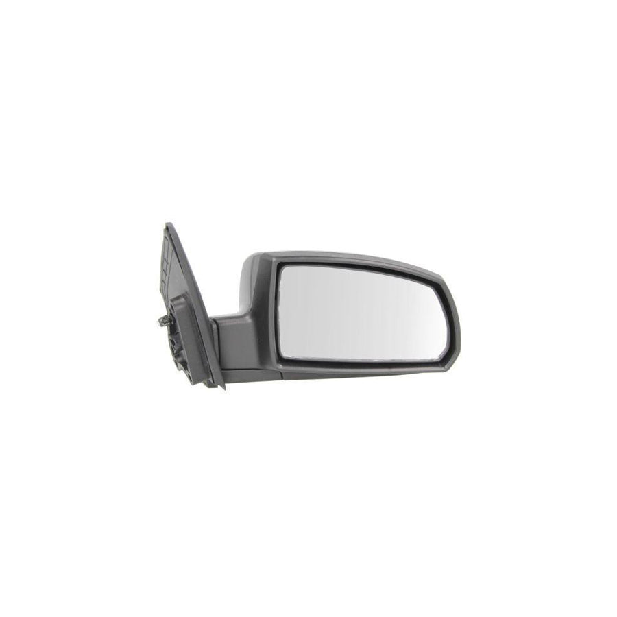 Blic 5402-53-2001548P Wing Mirror For Kia Rio