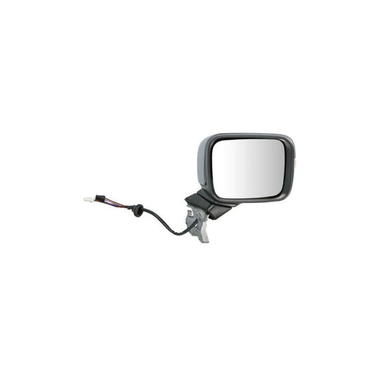 Blic 5402-55-0625362P Wing Mirror