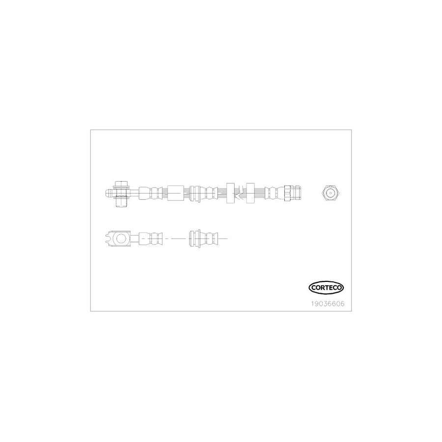 Corteco 19036606 Brake Hose | ML Performance UK