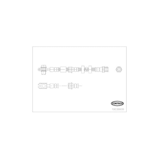 Corteco 19036606 Brake Hose | ML Performance UK