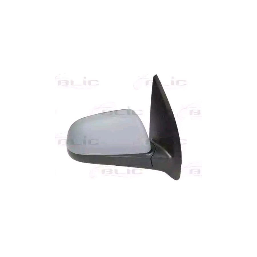 Blic 5402-56-005364P Wing Mirror