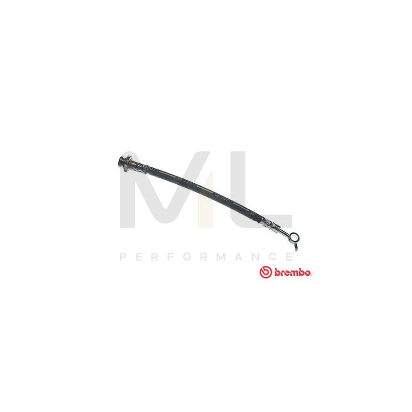 BREMBO T 56 162 Brake Hose 255mm, F10X1 | ML Performance Car Parts