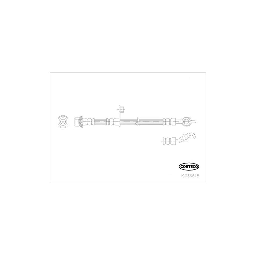 Corteco 19036618 Brake Hose For Toyota Yaris | ML Performance UK