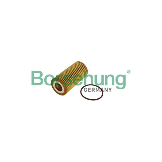 Borsehung B12225 Oil Filter