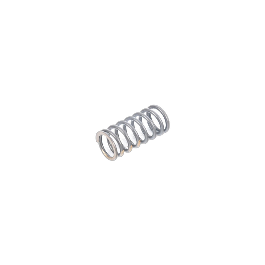 Genuine BMW 11342247172 E38 E61 E91 Valve Spring (Inc. 730Ld, 335d & X6 30dX) | ML Performance UK Car Parts