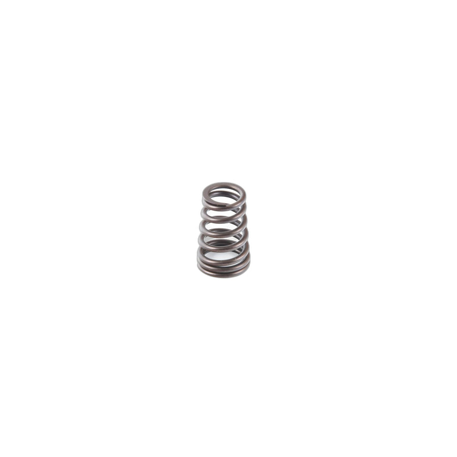 Genuine BMW 11341745339 E39 E38 E53 Valve Spring (Inc. 540iP, 735iL & 740iLP) | ML Performance UK Car Parts