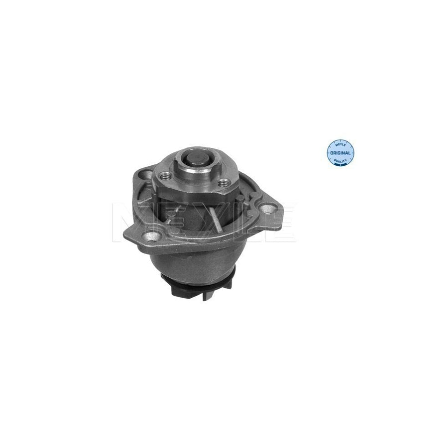 Meyle 113 012 0043 Water Pump