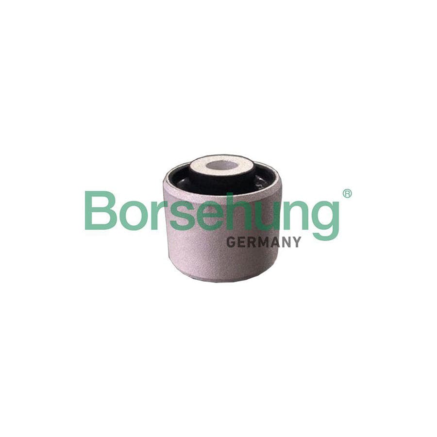 Borsehung B19112 Control Arm- / Trailing Arm Bush For Audi A4