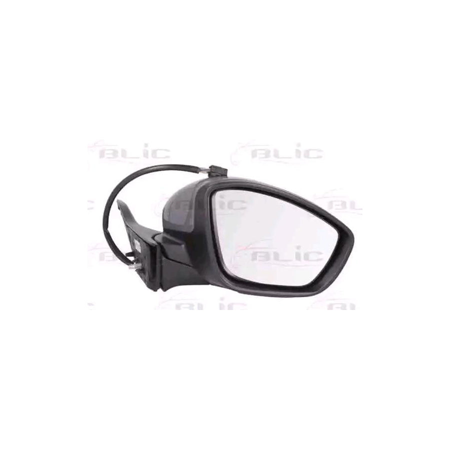 Blic 5402-08-2002056P Wing Mirror