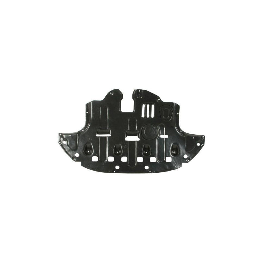 Blic 6601-02-3179870P Engine Cover