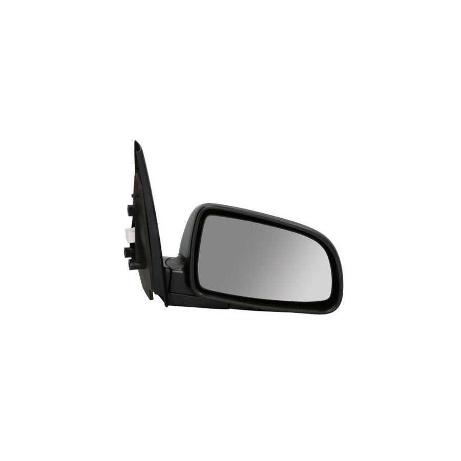 Blic 5402-56-2001070P Wing Mirror