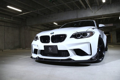 3D Design 3101-28721 BMW Carbon Fiber Front Lip Spoiler Set w/ Canards